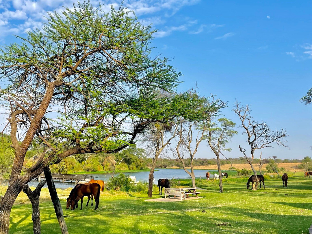Antelope Park-圭洛必去景点