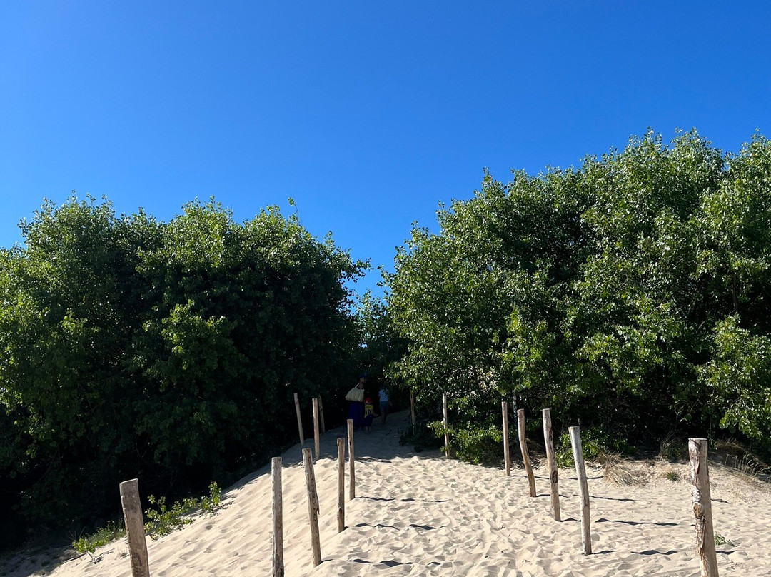 The Dunes of Bredene-布雷德内必去景点