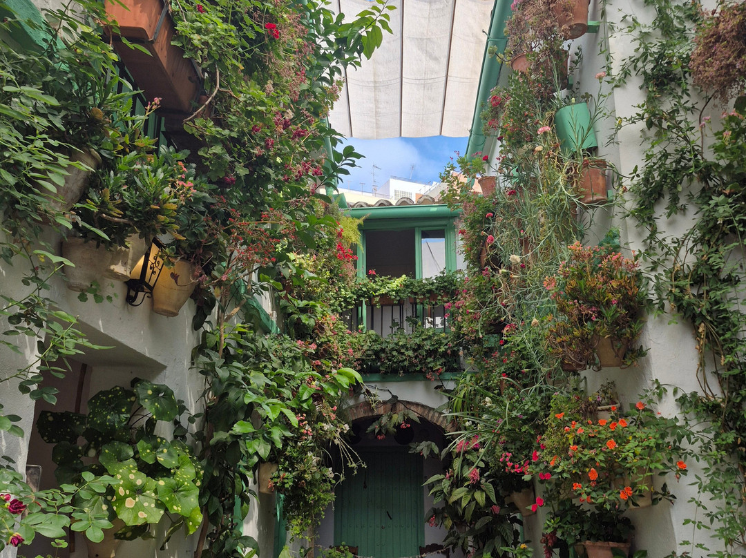 Los Patios de San Basilio-科尔多瓦必去景点