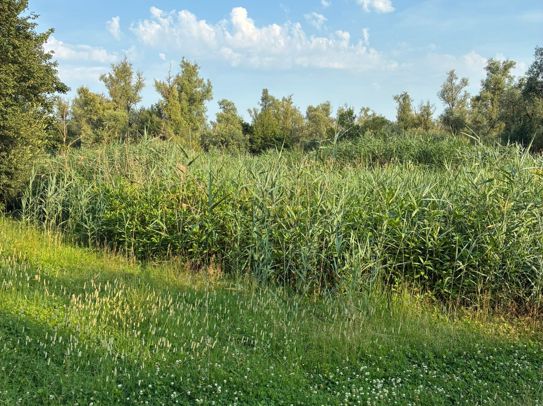 Visitorscenter Biesbosch Dordrecht-多德雷赫特必去景点