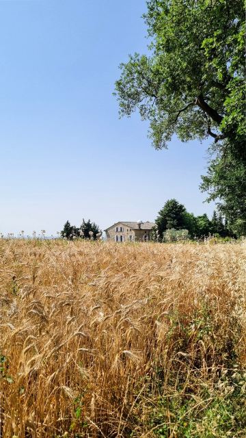 Residenza la Canonica-旅行者