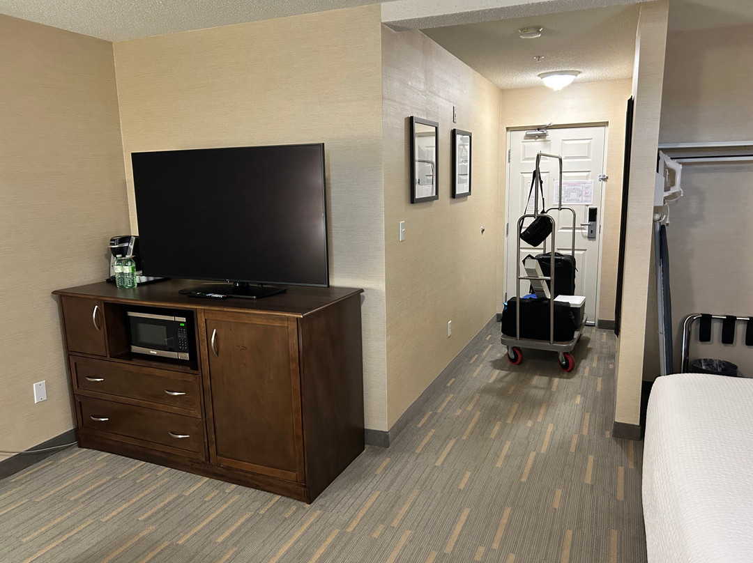 Holiday Inn 莱斯布里奇