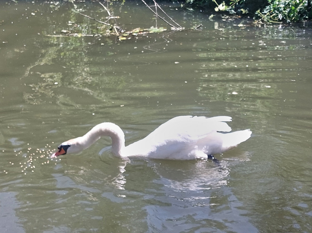 Tonbridge River Trips-汤布里奇必去景点
