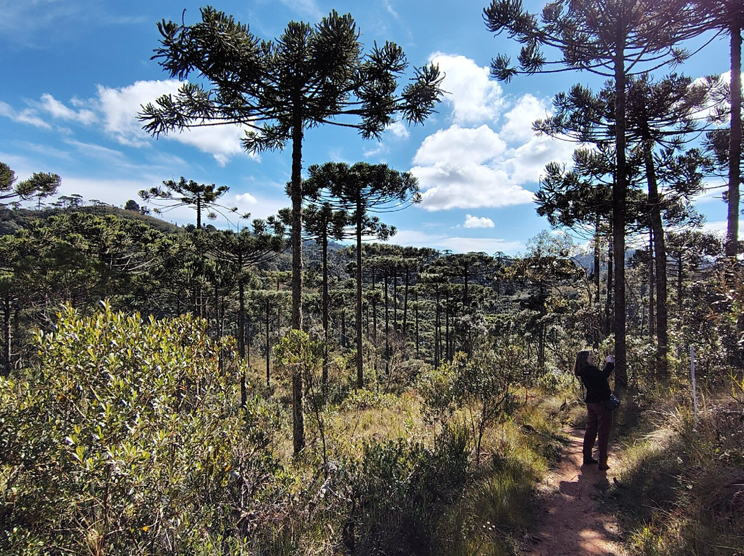 Parque Estadual Campos do Jordao-坎普斯－杜若尔当必去景点