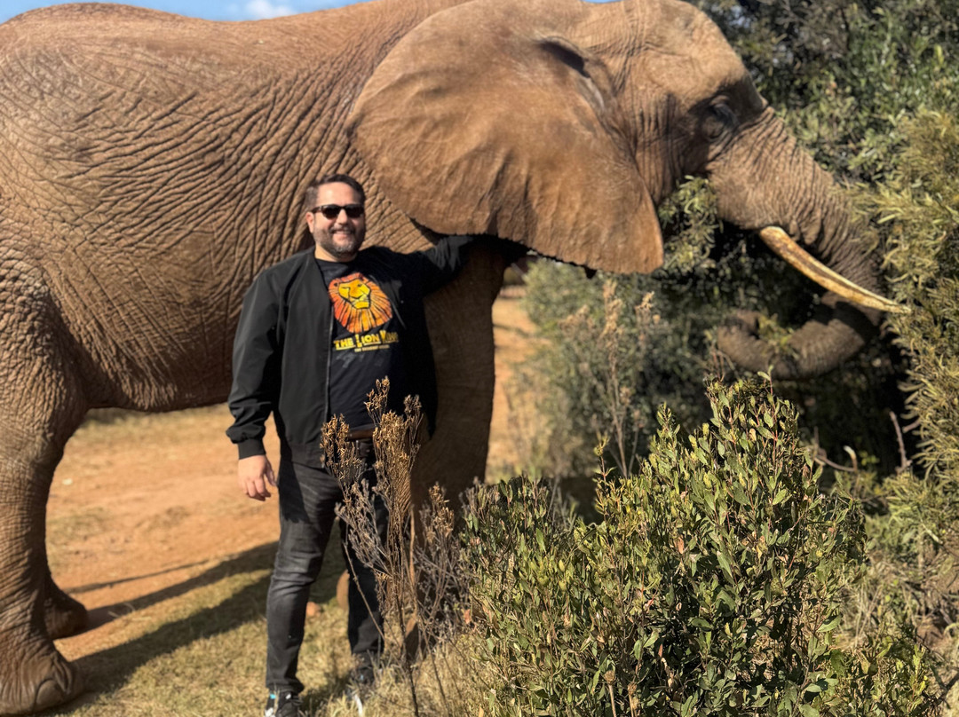Wildside Tours and Safaris - Day Tours-约翰内斯堡必去景点