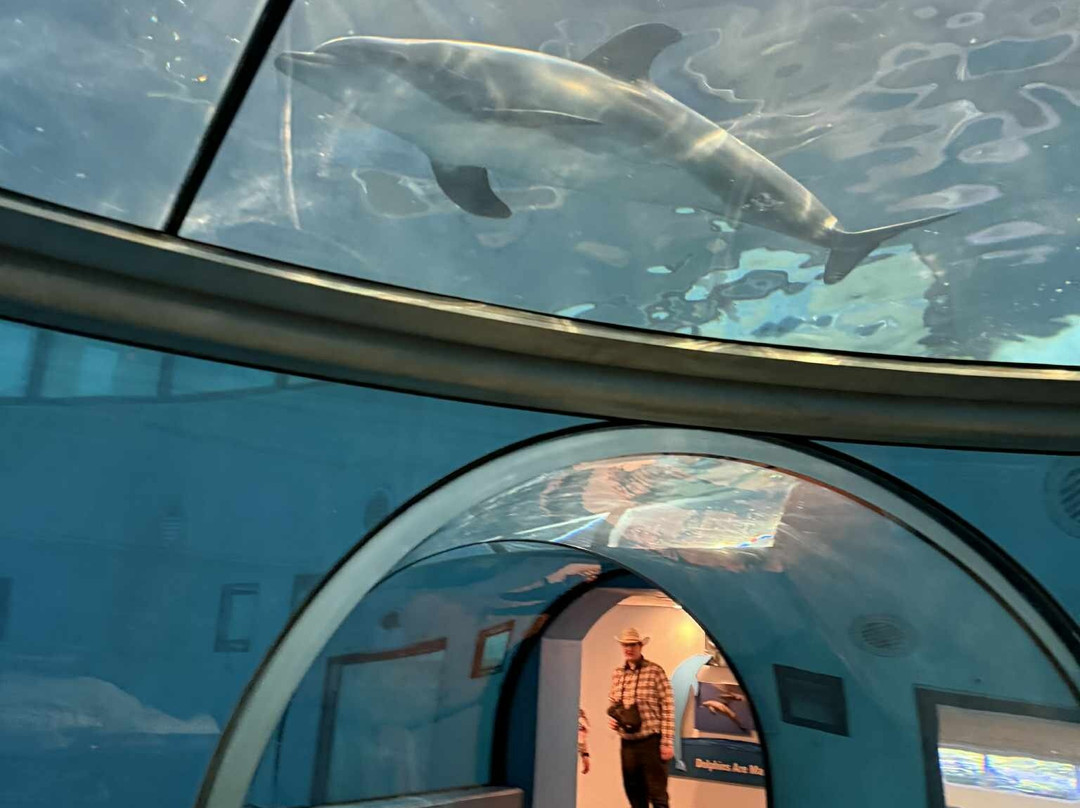 Indianapolis Zoo-印第安纳波利斯必去景点