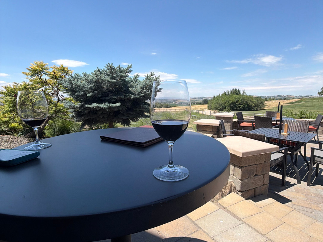 Sawtooth Winery-楠帕必去景点