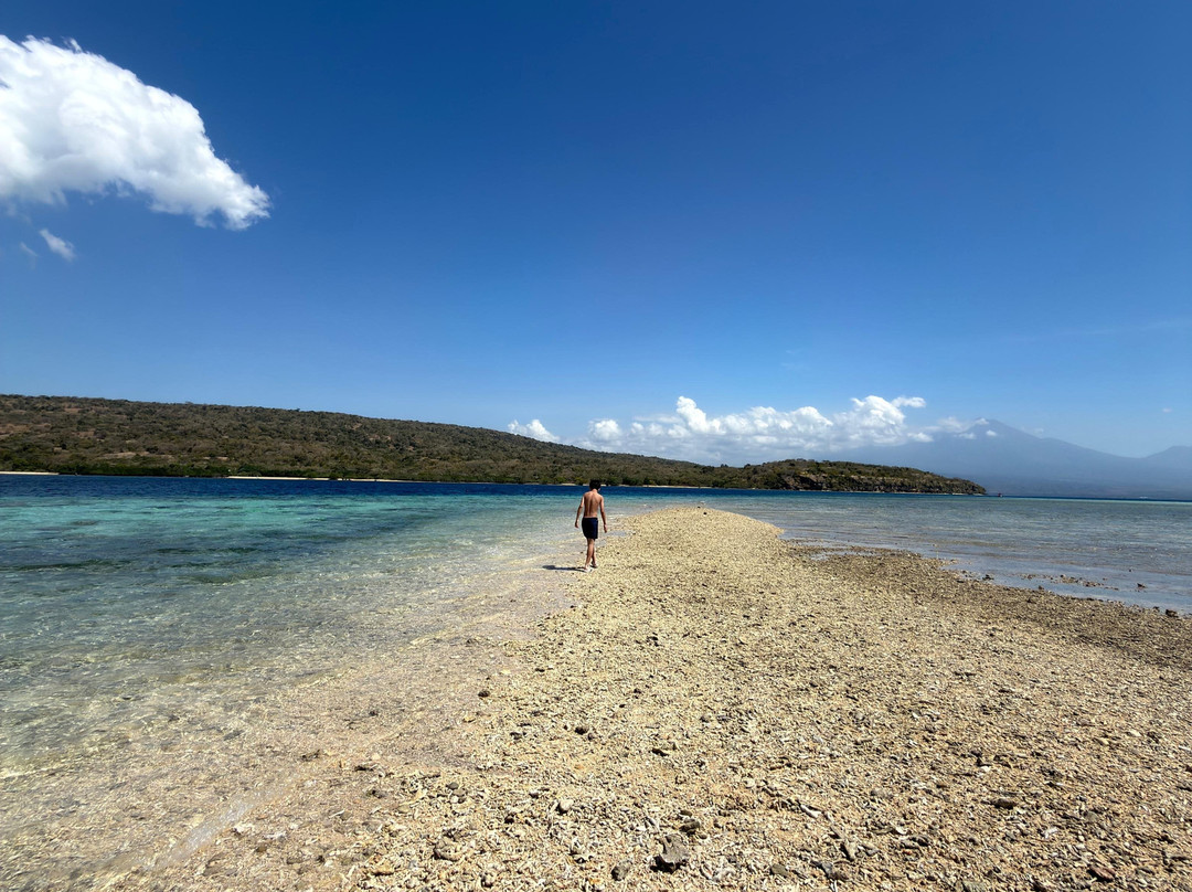 Menjangan Tour Snorkeling & Diving-Pejarakan必去景点