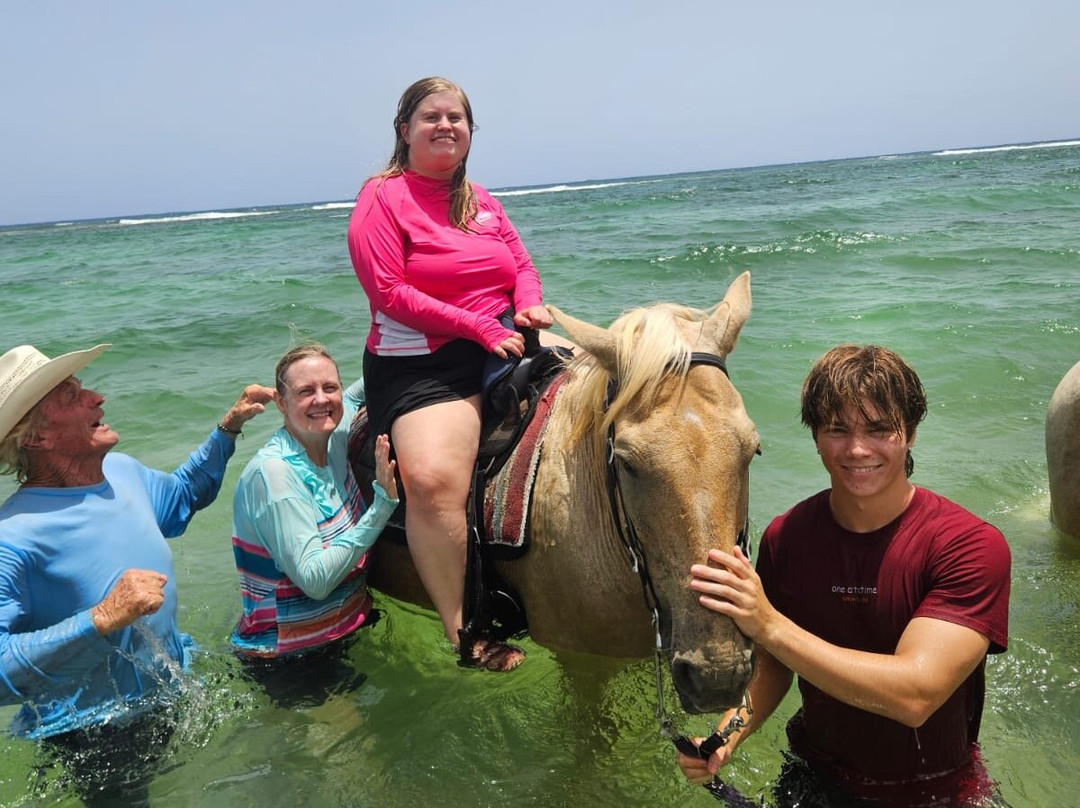 Equus Rides Horseback Riding St. Croix-Frederiksted必去景点