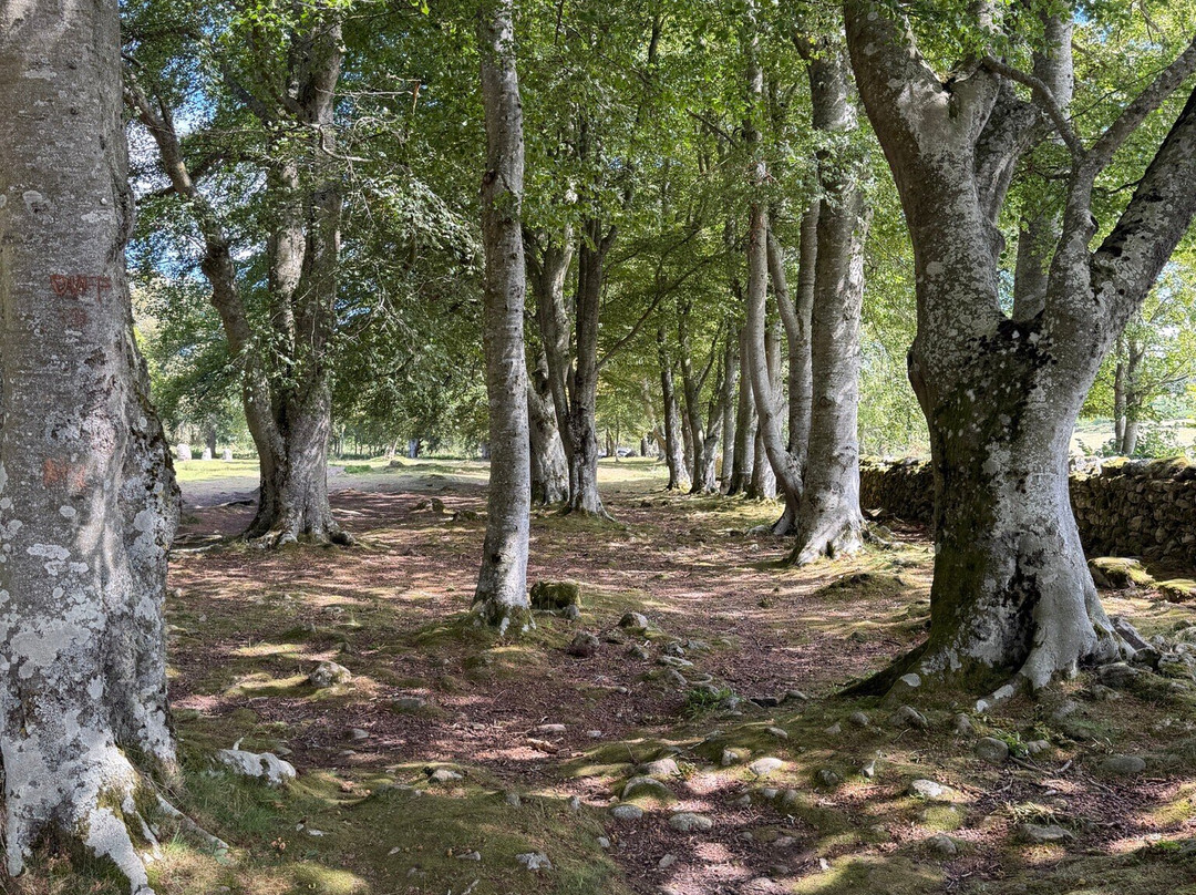 Clava Cairns-苏格兰高地必去景点