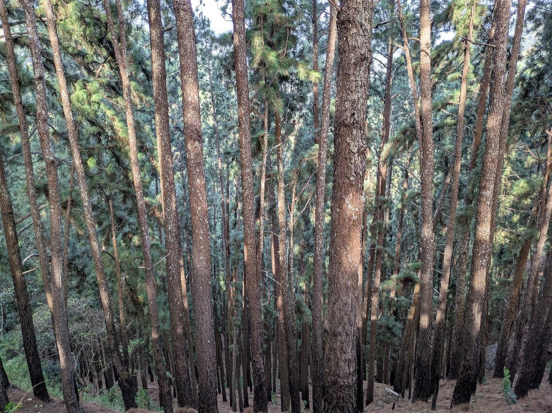 Tuk Tuk Safari & Trekking Tour-哈普特莱必去景点