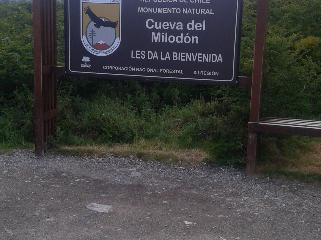 Cueva del Milodon-纳塔莱斯港必去景点