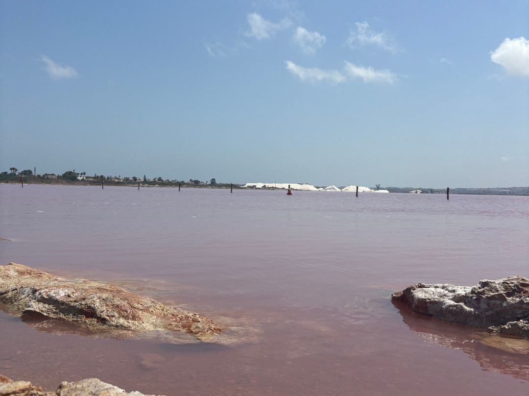 Laguna Salada de Torrevieja-托雷维耶哈必去景点