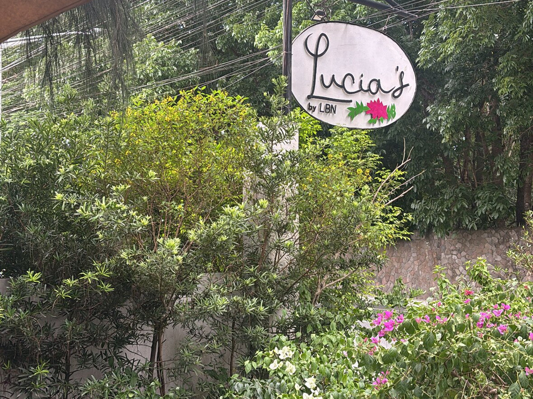 Lucia's Cafe