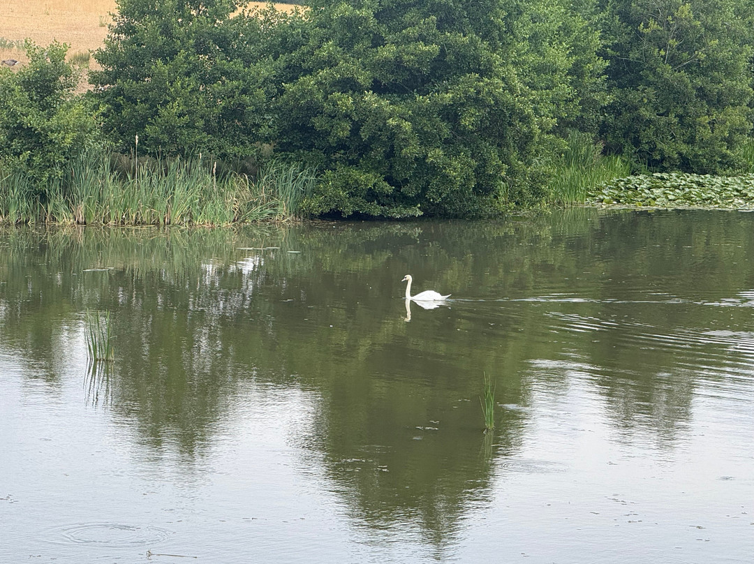 Compton Verney Art Gallery-Compton Verney必去景点