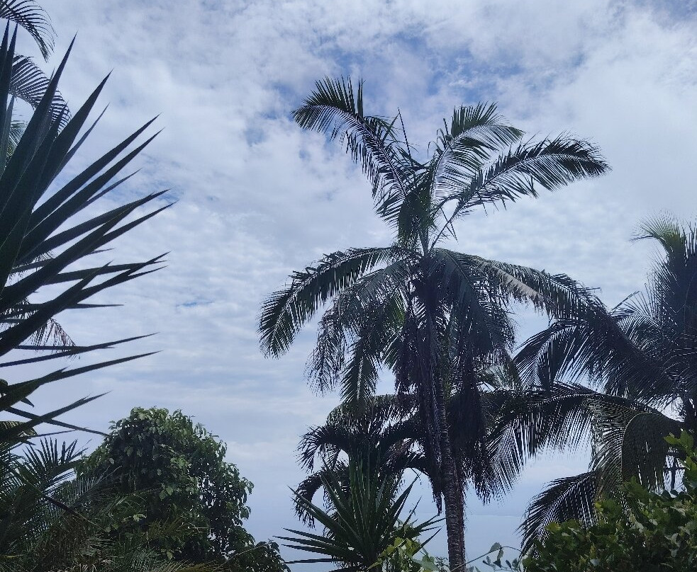 Carara National Park-卡拉拉必去景点