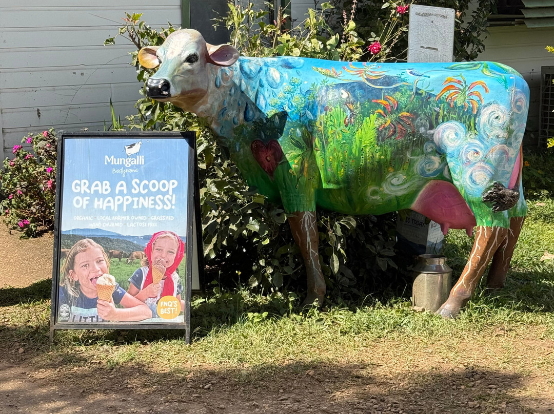 Mungalli Creek Dairy Farm-Millaa Millaa必去景点