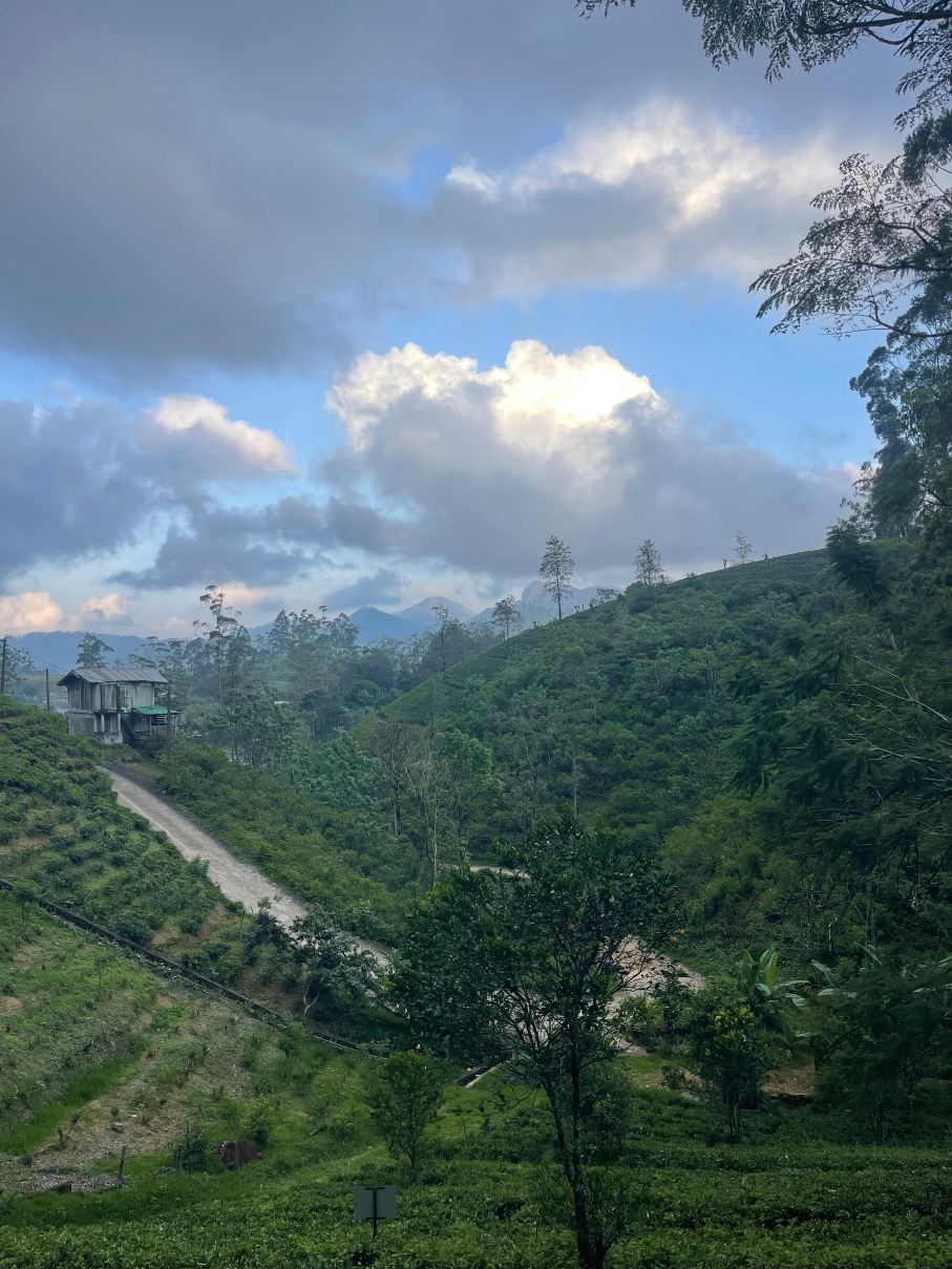 哈灵顿传统酒店-旅行者