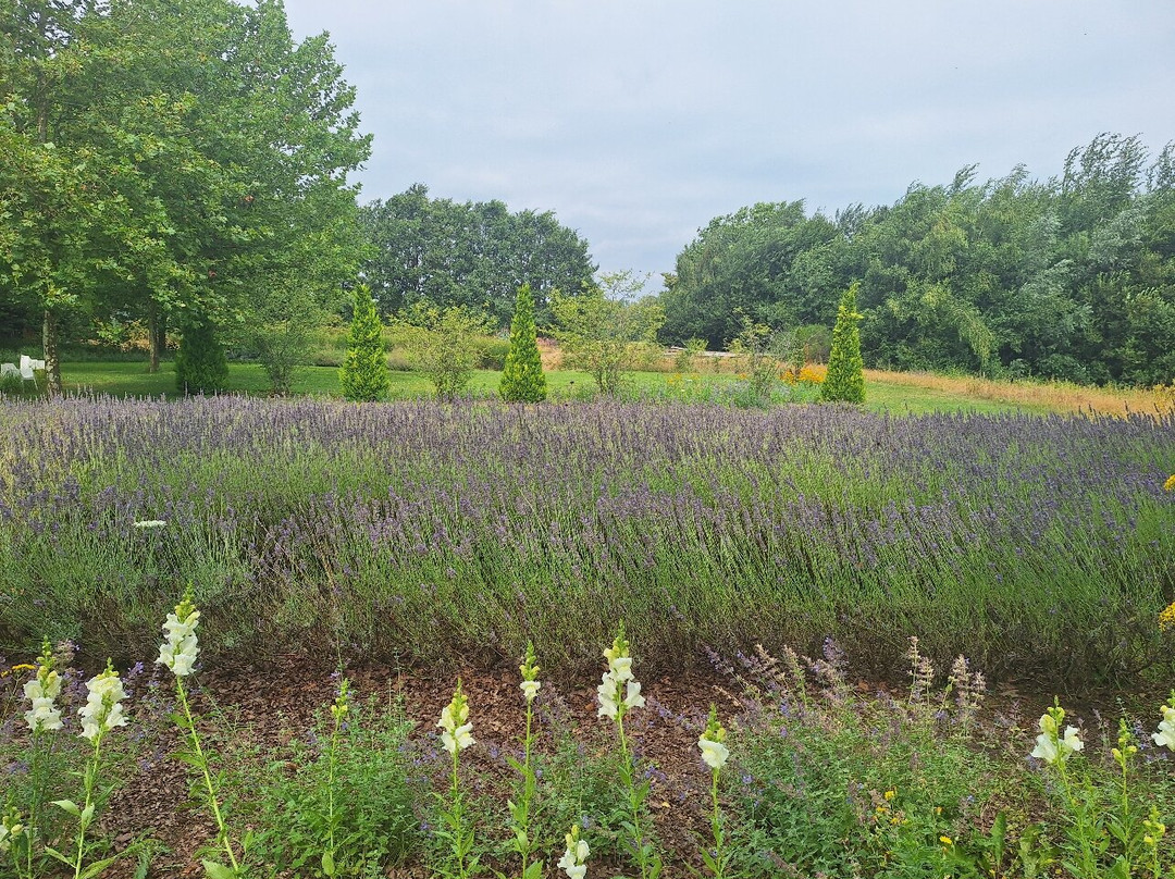 Rosenhaege Living Gardens-Winterswijk必去景点