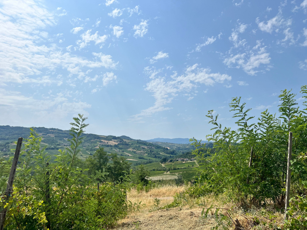 Dezza 1890 Winery-Montecalvo Versiggia必去景点