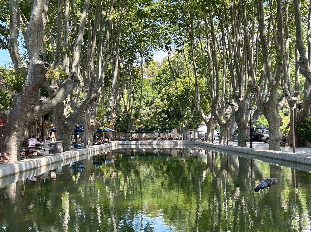 Bassin De L Étang-Cucuron必去景点