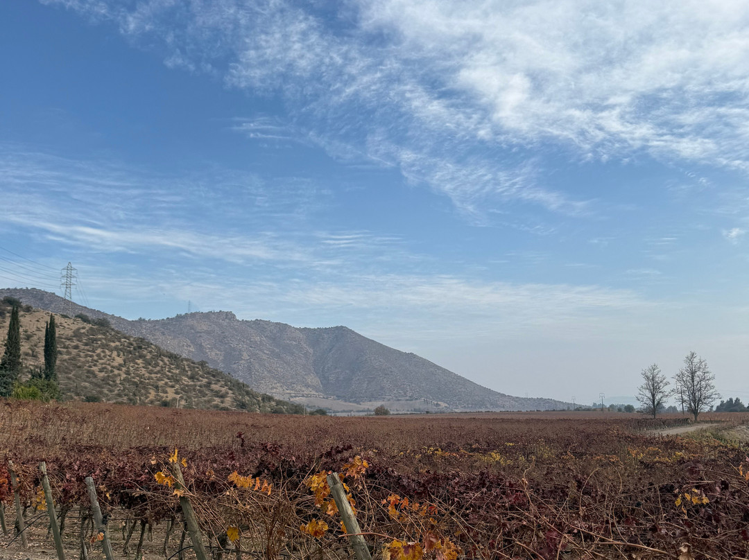 Besoain Wines-Pirque必去景点