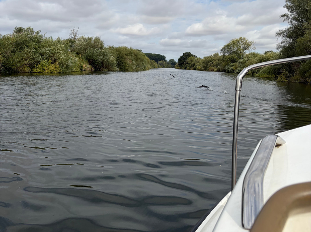 Severn Expeditions Day Boat Hire-Upton upon Severn必去景点