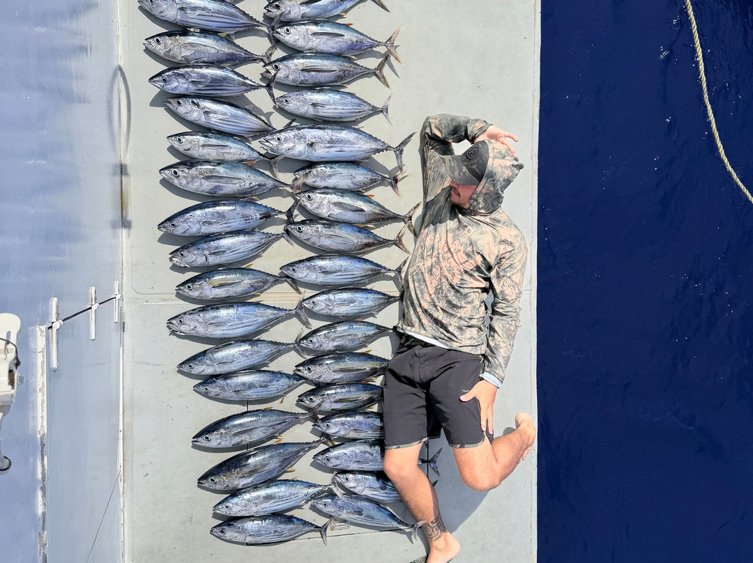 Adora Liveaboard, Maldives-马累必去景点
