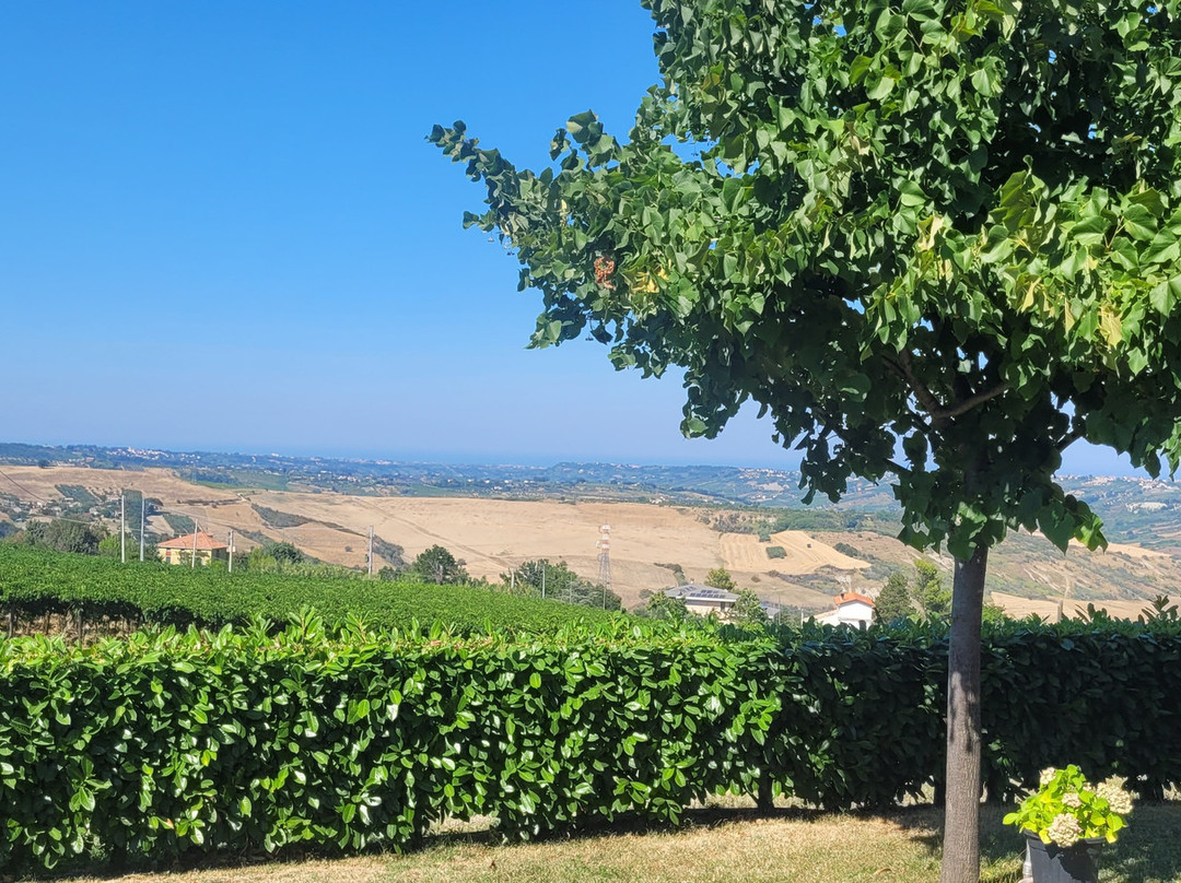 Agriturismo Colle Tripio主图