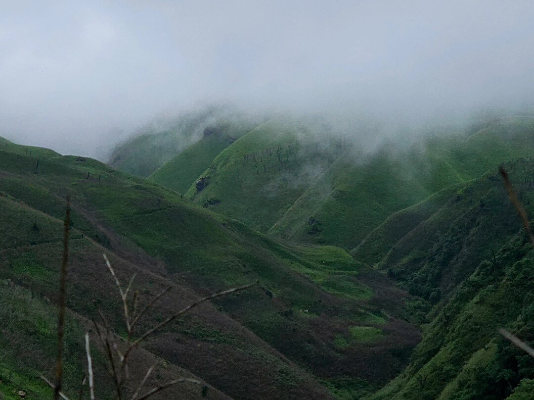 Dzukou Valley-Kohima必去景点