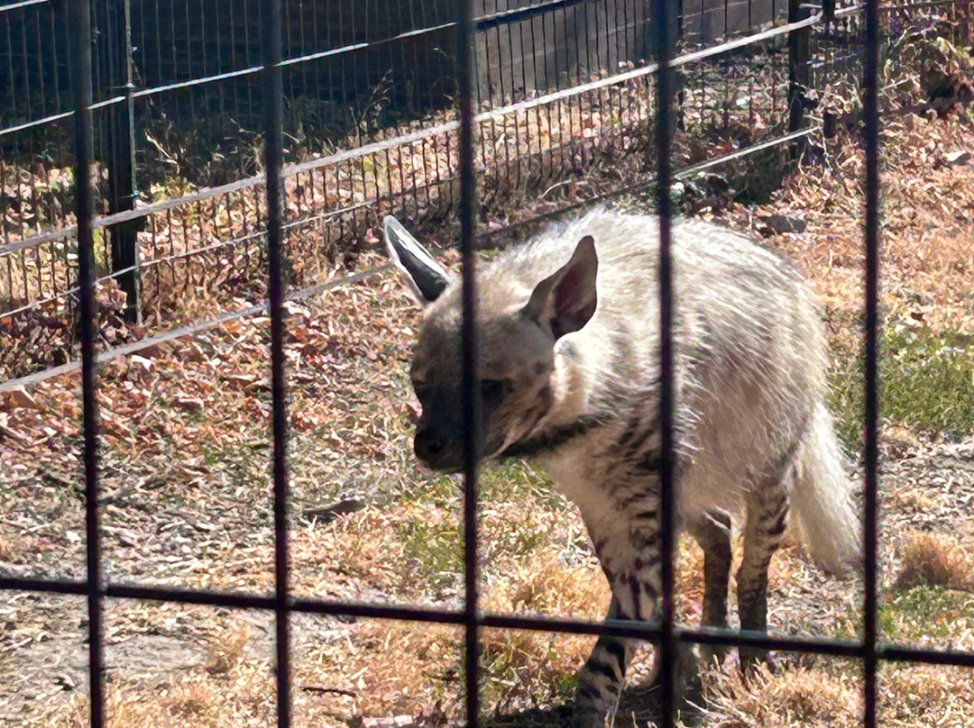 Zoo du Bois d'Attilly-Ferolles-Attilly必去景点