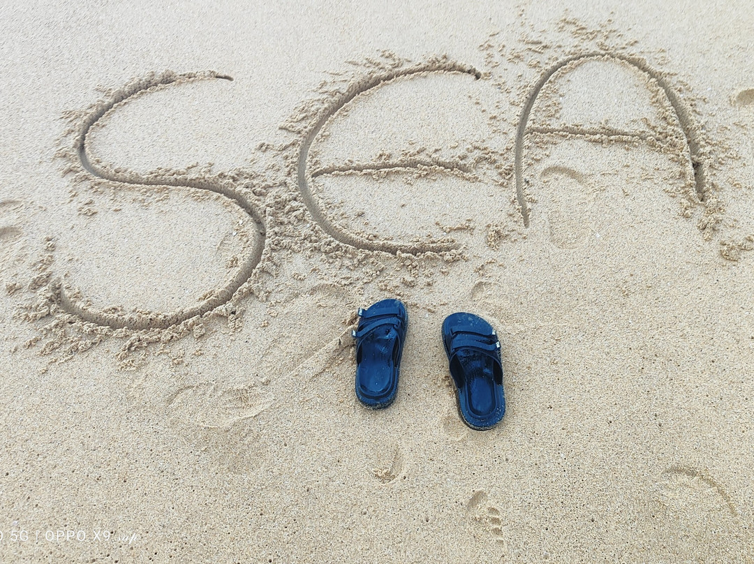 Candolim Beach-巴德士必去景点