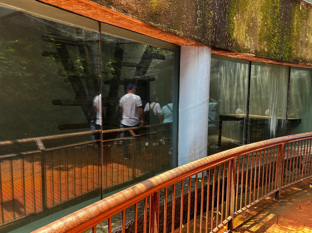 Zoológico de Chapultepec-墨西哥城必去景点