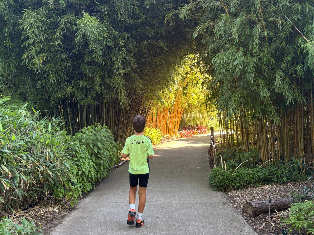 Utrecht University Botanic Gardens-乌特勒支必去景点