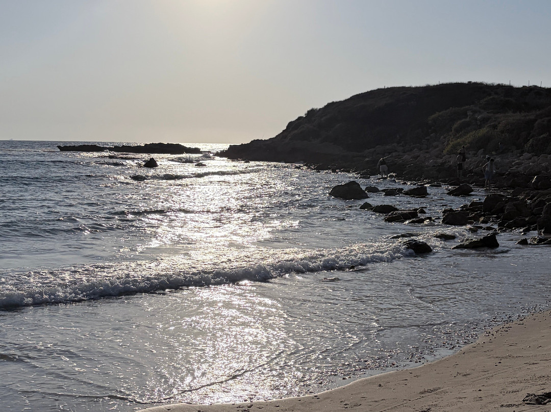 Nahsholim Beach Hotel主图