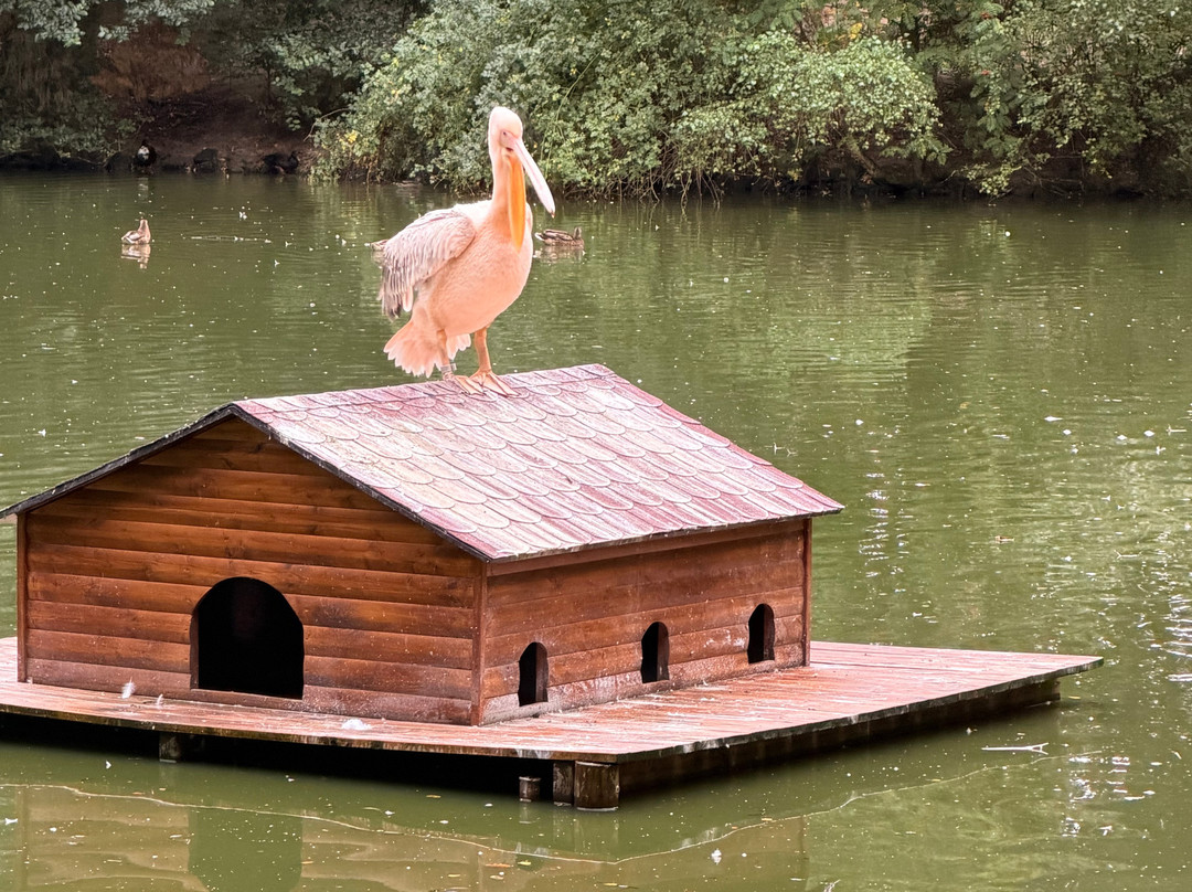 Wildpark Lüneburger Heide-Hanstedt必去景点