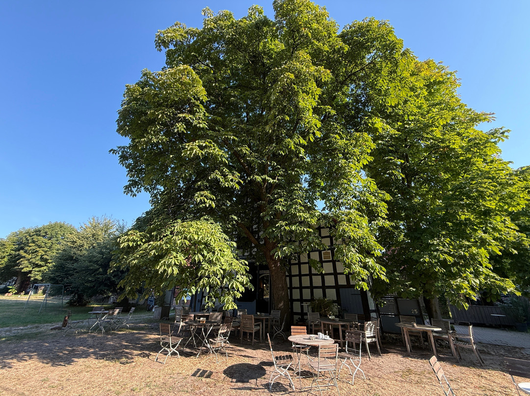 Landhotel Markthof Satemin