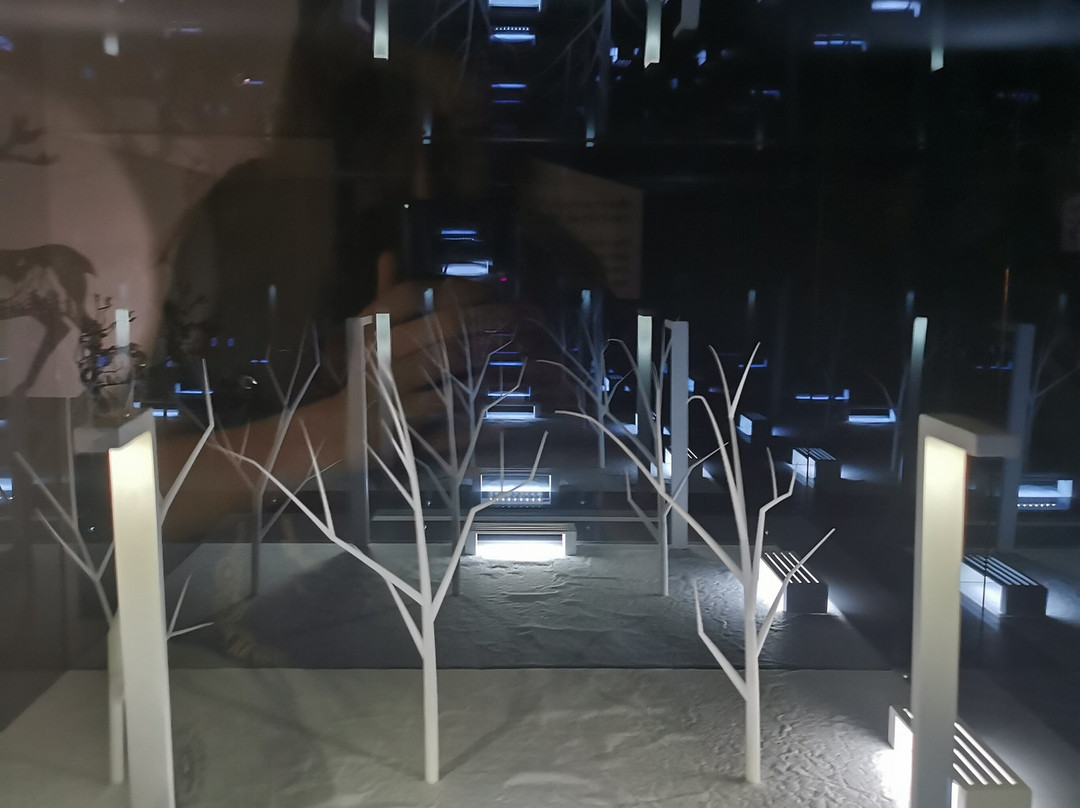 Paradox Museum Helsinki-赫尔辛基必去景点