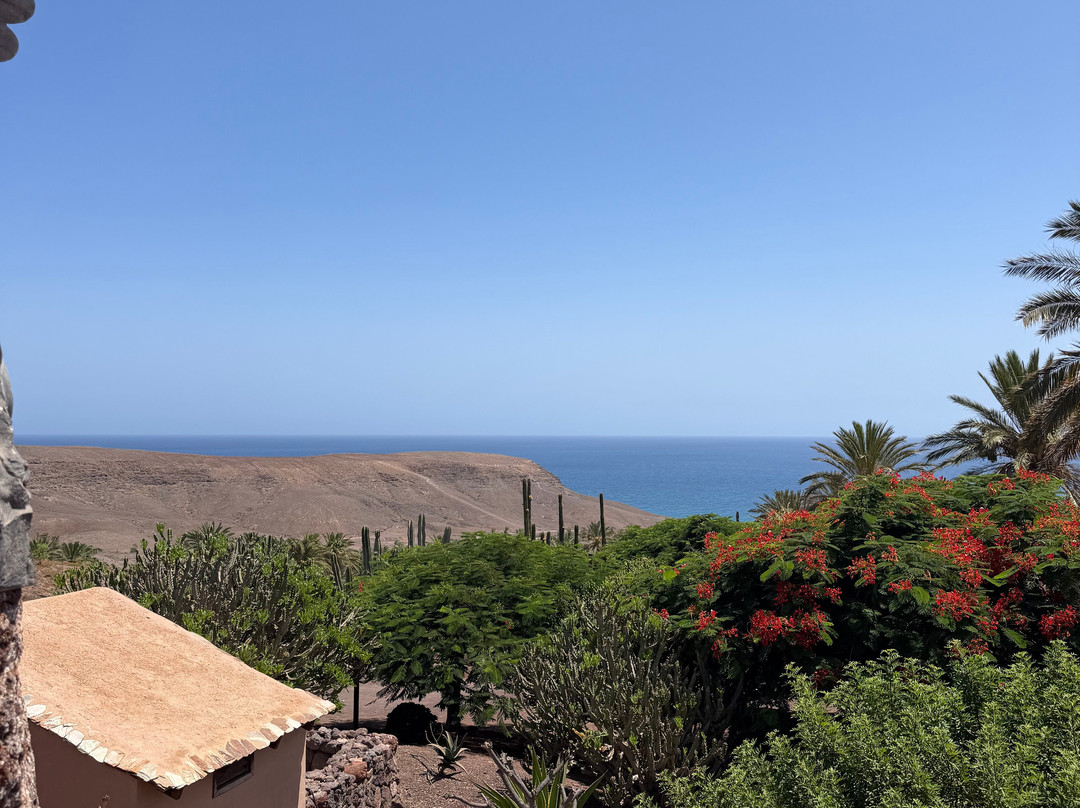 Oasis Park Fuerteventura-La Lajita必去景点