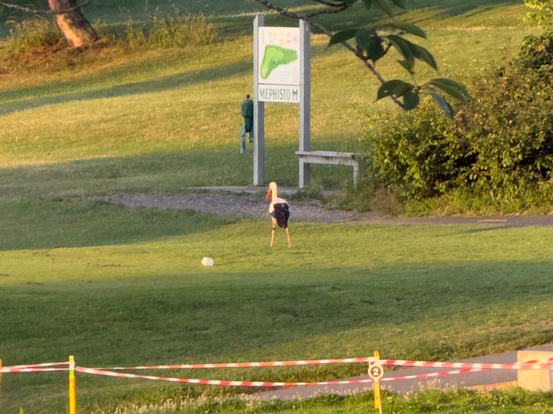 Golf du Pays de Sarrebourg-萨尔堡必去景点