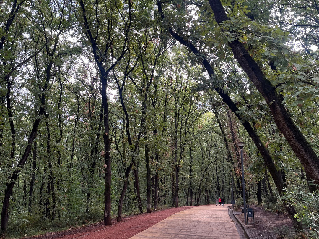 Grand Park (Parku i Madh)-地拉那必去景点