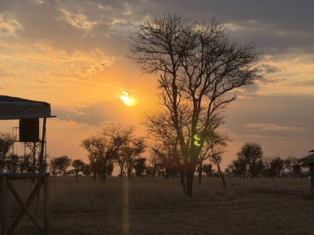 OSOTUA TENTED CAMPS-Ikoma必去景点