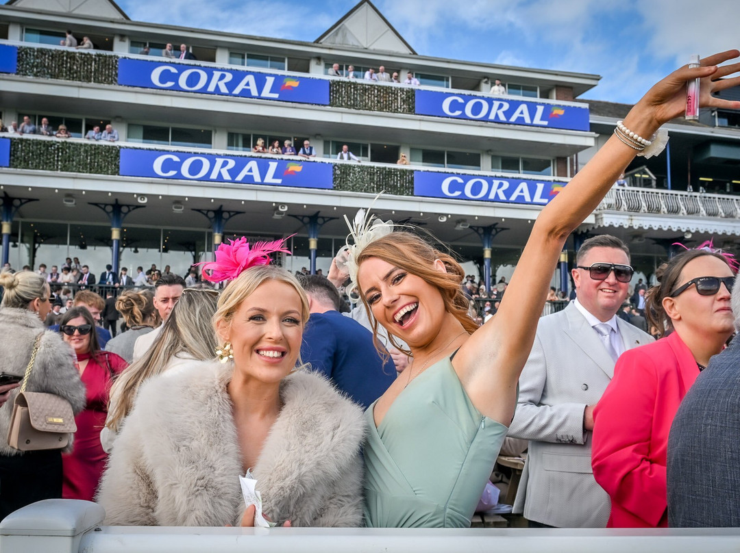 The Races at Ayr Racecourse-艾尔必去景点