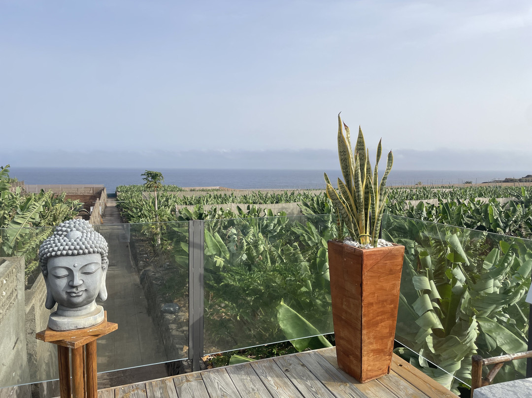 Hacienda la Dehesa (Only Adults)主图