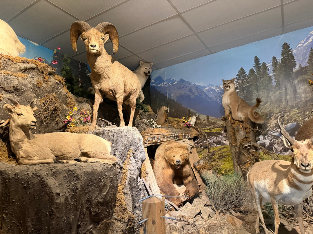 Yellowstone Trading Post-库克城必去景点
