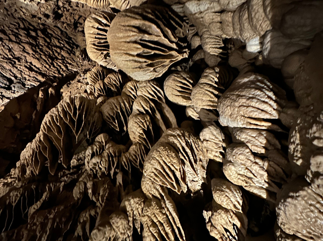 Oregon Caves National Monument And Preserve-凯夫章克申必去景点