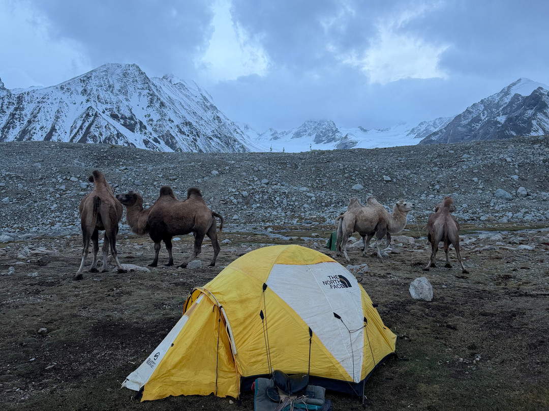 Kazakh Tour-Olgiy必去景点