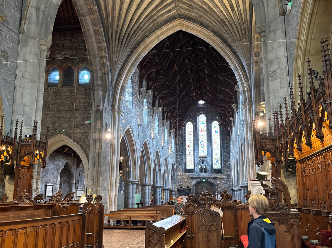 St. Canice's Cathedral & Round Tower-基尔肯尼必去景点