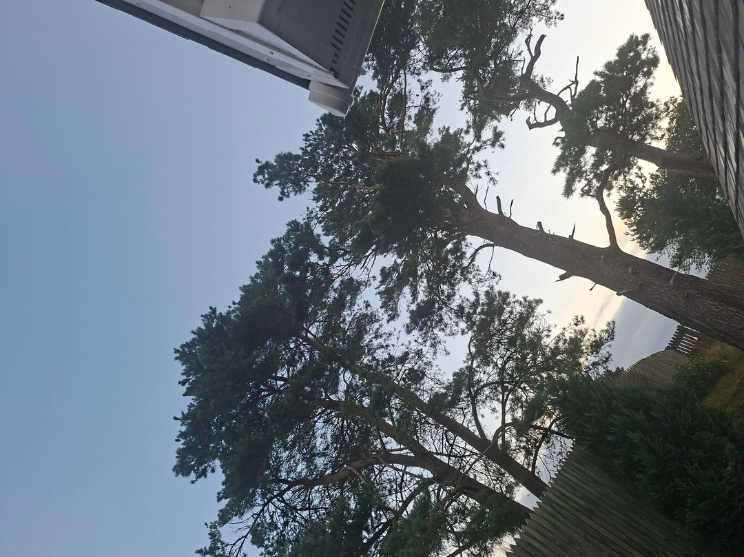 车站之家主图