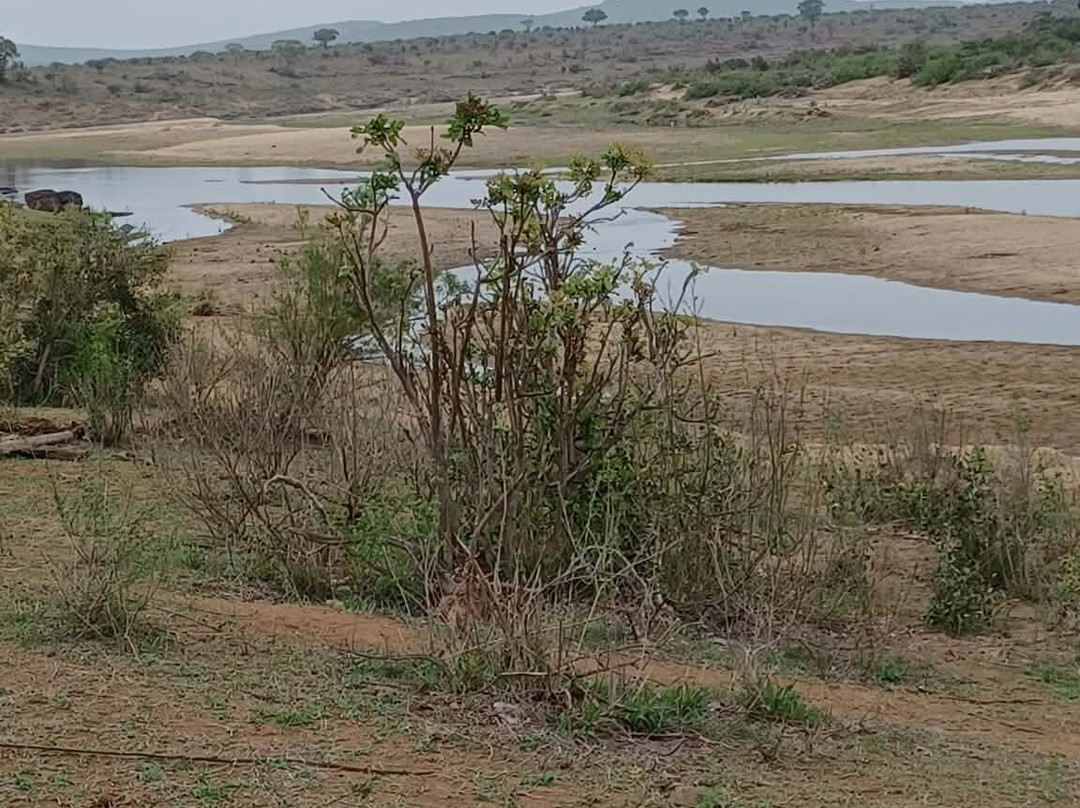Kruger National Park-尼斯普鲁特必去景点